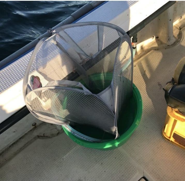 個人生簀（桶）