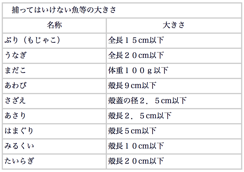 捕ってはいけない魚等の大きさ画像